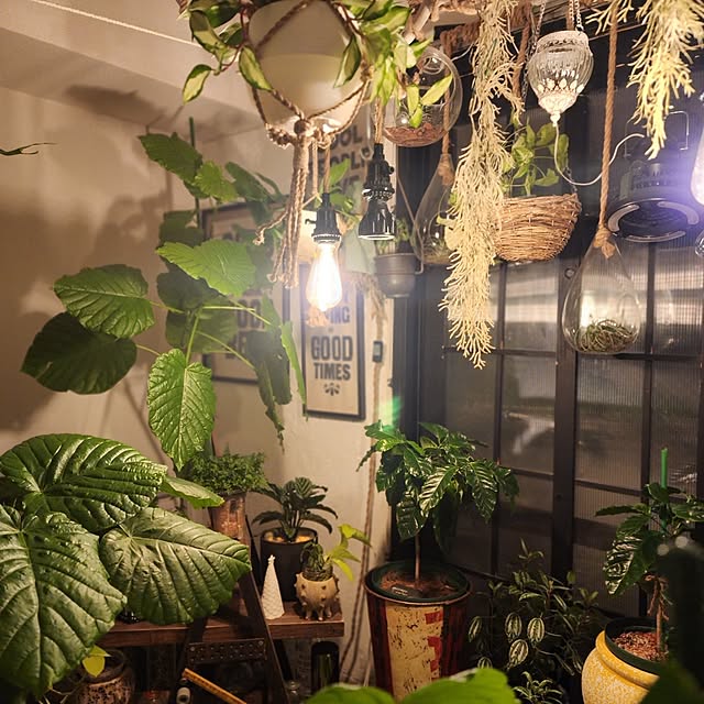 CYNOSさんの部屋