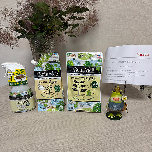 chIoeさんの実例写真