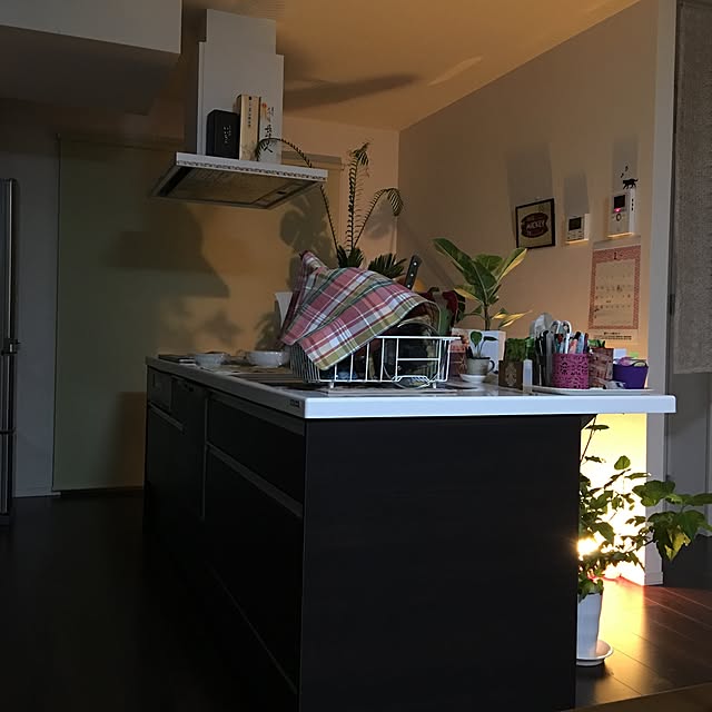 sunday06061500さんの実例写真