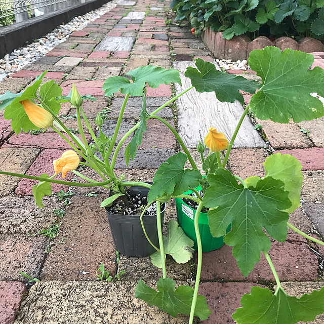 Karlyさんの部屋
