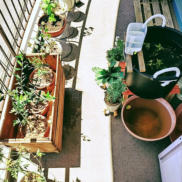 mi-saさんの部屋