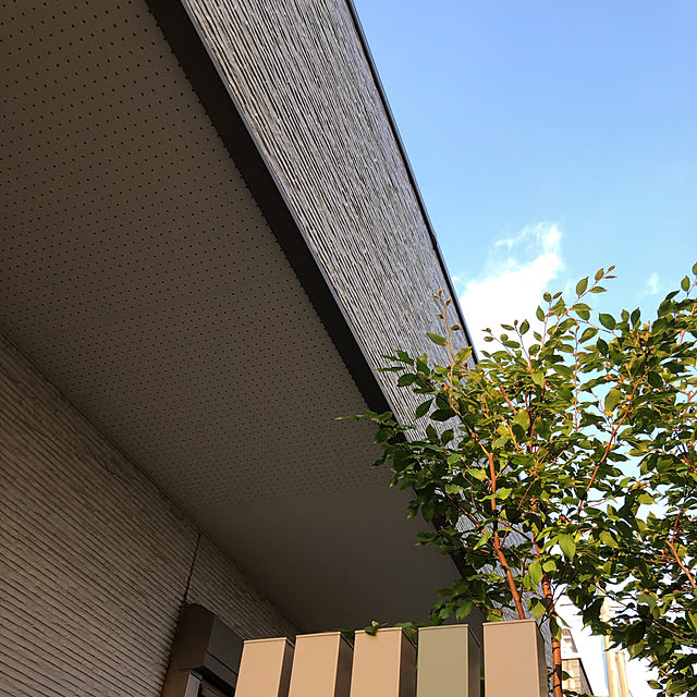auraniさんの実例写真