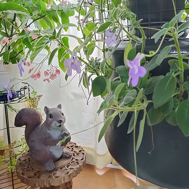 NOAHさんの実例写真