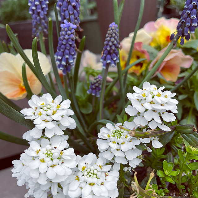 namecoさんの部屋