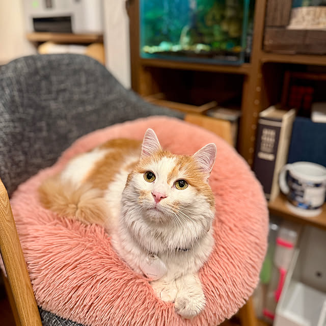 yutaさんの実例写真