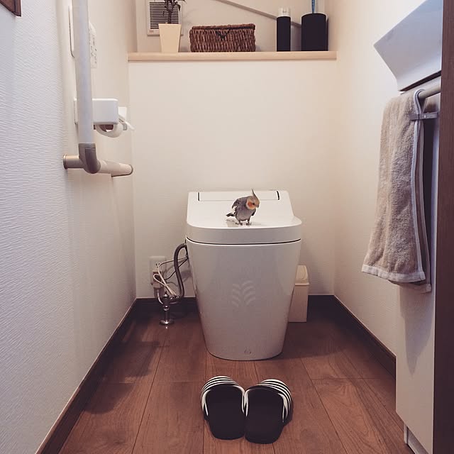 Meguminさんの実例写真