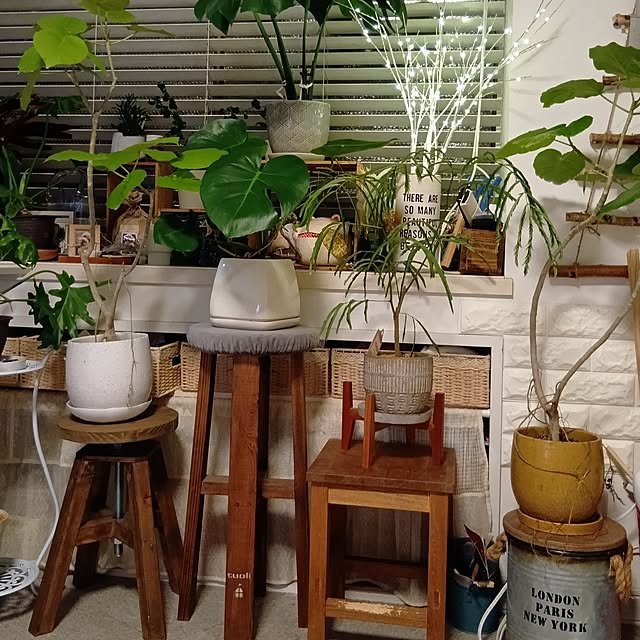 tomomiさんの実例写真