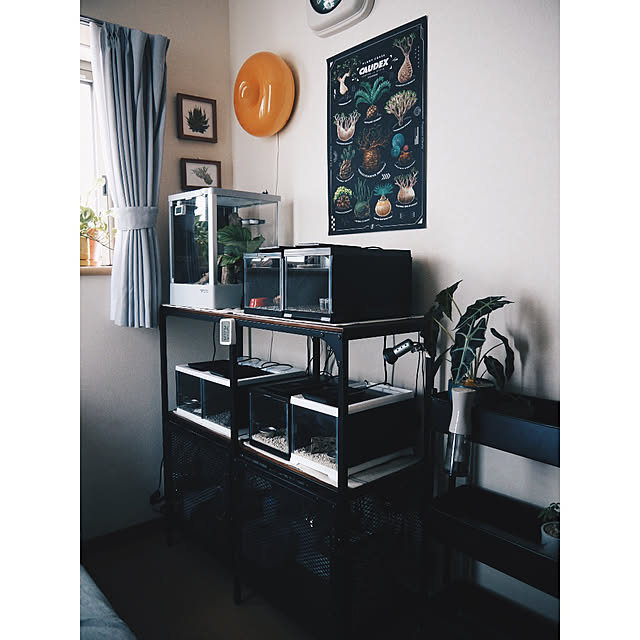 w_end_0625さんの実例写真