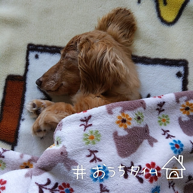 akariさんの実例写真