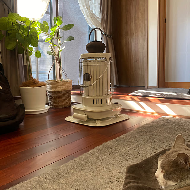 taakoさんの部屋