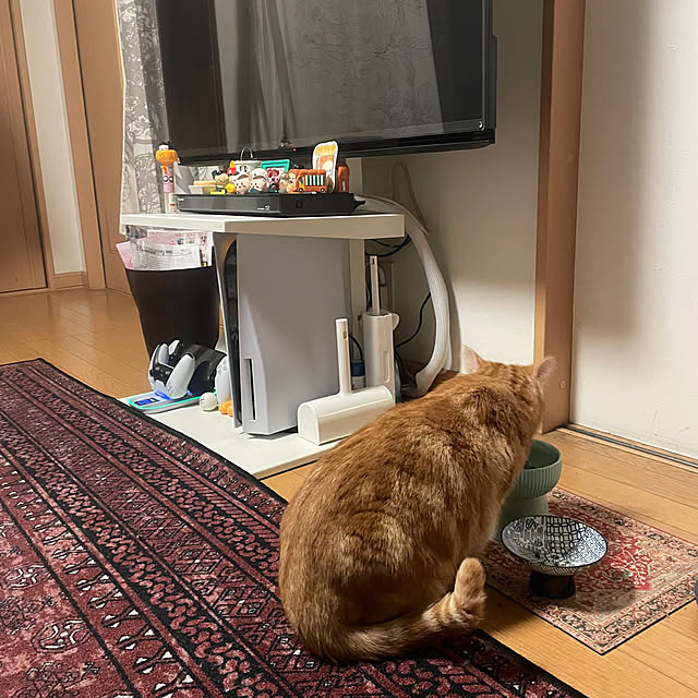 okogeさんの部屋