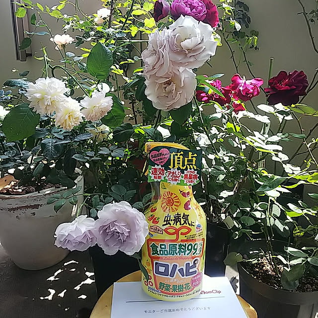 hiromimiさんの実例写真