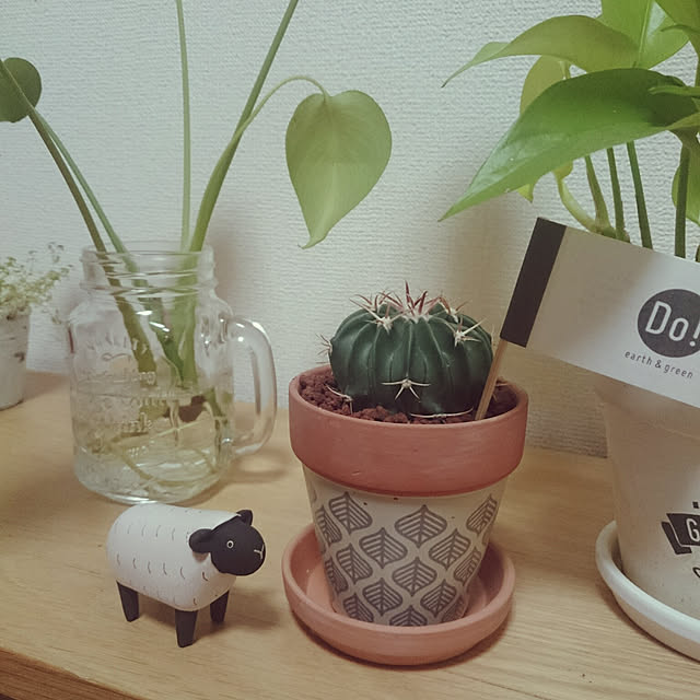 tomokomoさんの実例写真