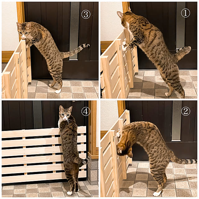 nobikoさんの実例写真