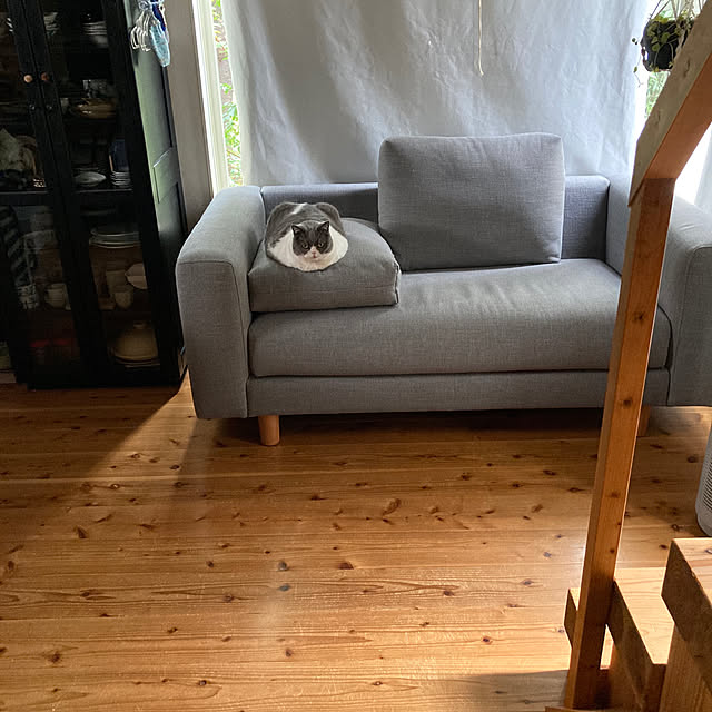 mohayaeteさんの実例写真