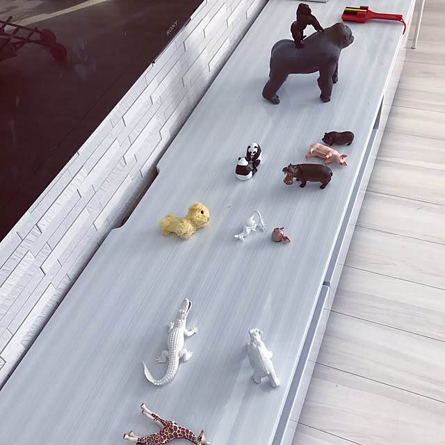riakanaさんの実例写真