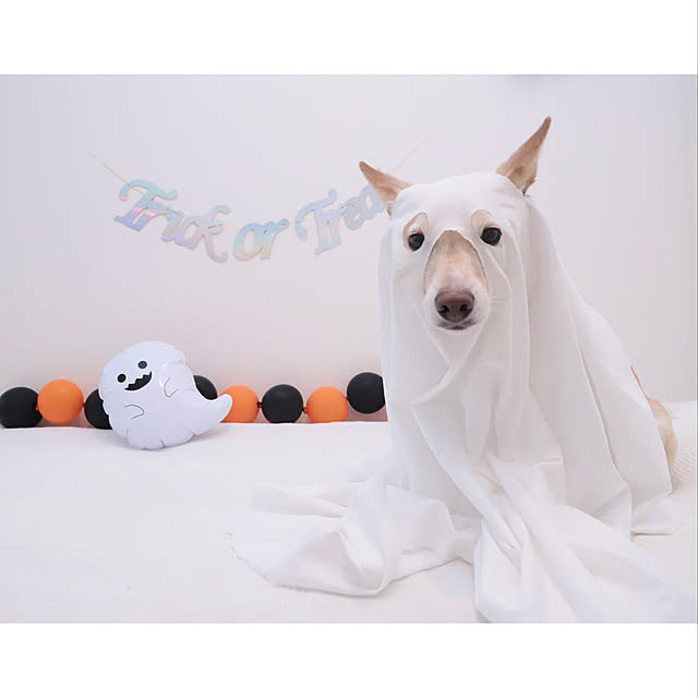 maruさんの実例写真