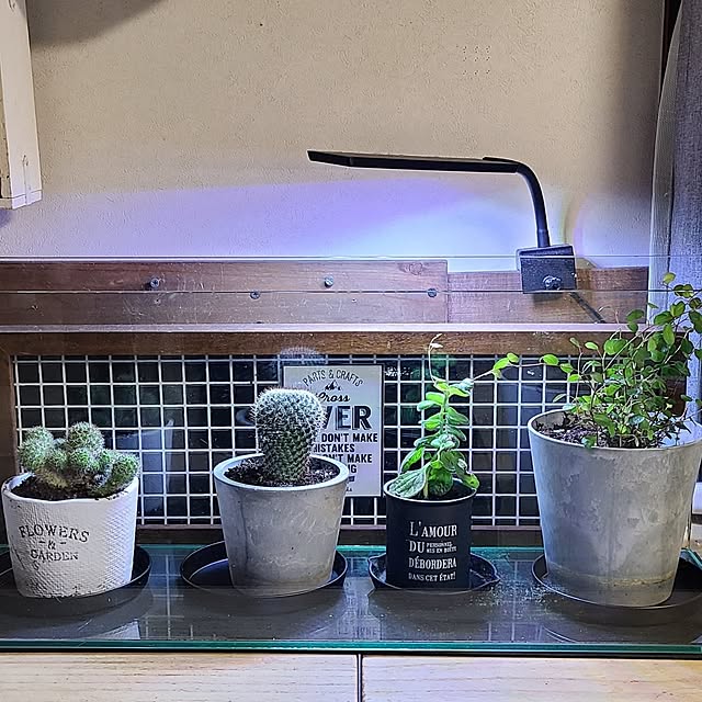 opiopiopiさんの実例写真