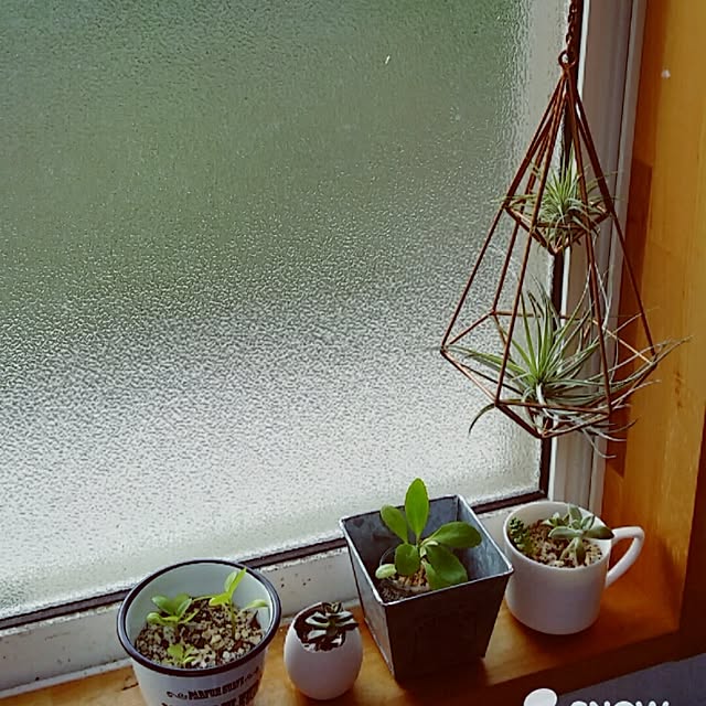 7anさんの実例写真