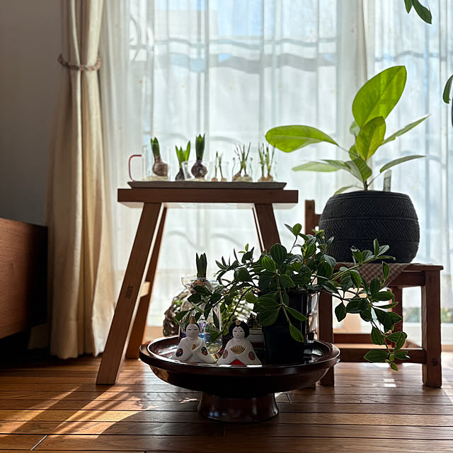 nana77さんの実例写真