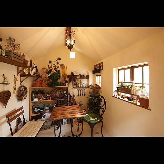 phytolifeさんの実例写真