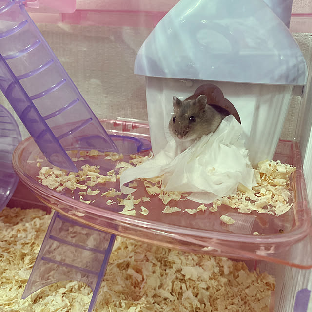 milkさんの実例写真