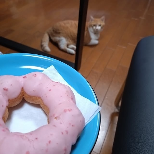 NOAHさんの部屋