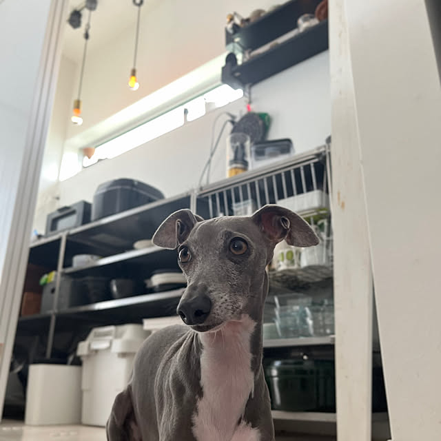riakanaさんの部屋