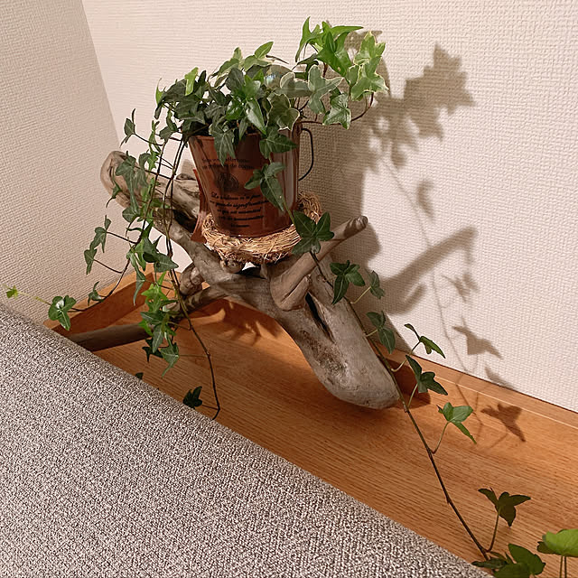 olive18さんの実例写真