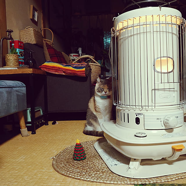 fukuさんの実例写真