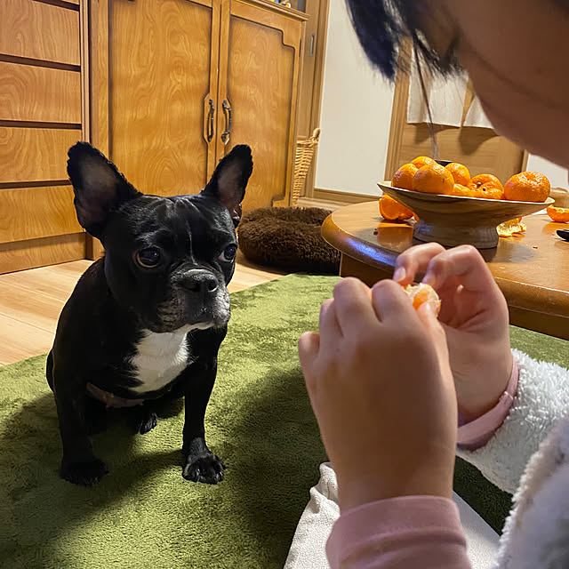 kotaroさんの部屋