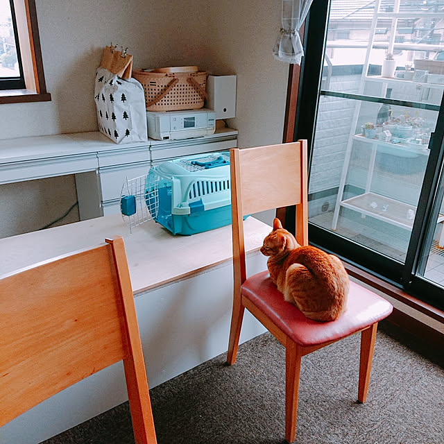 kikiさんの実例写真