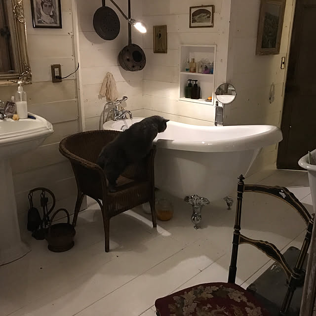 miizer8さんの実例写真