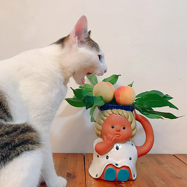 meさんの実例写真