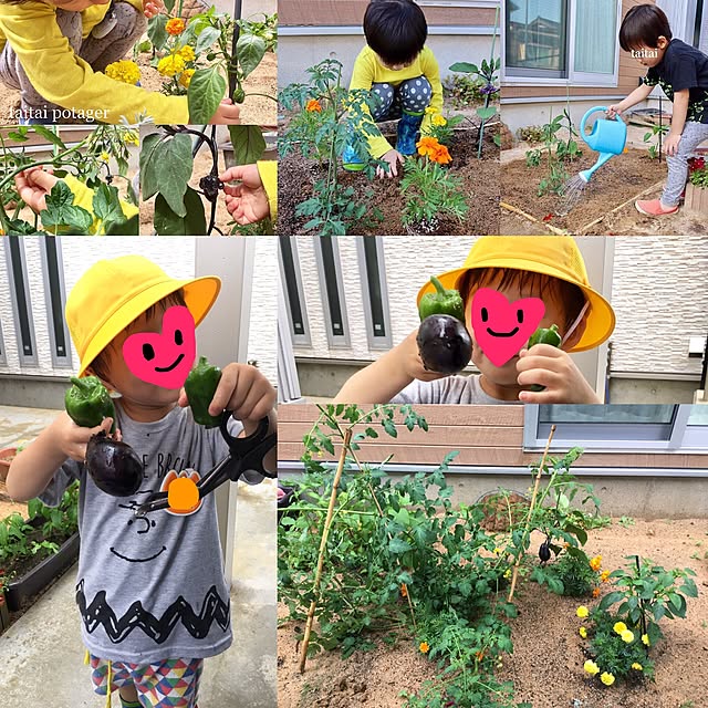 taitaiさんの実例写真
