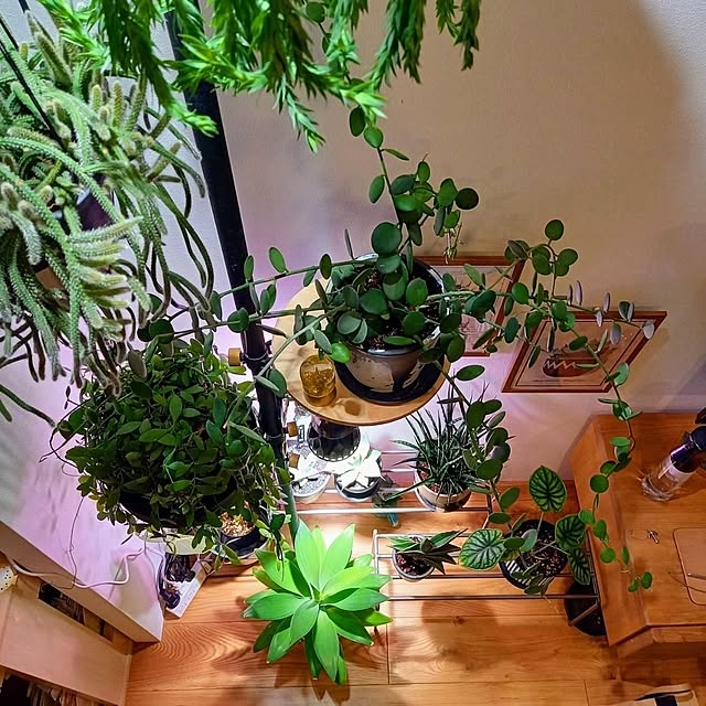 Rさんの部屋