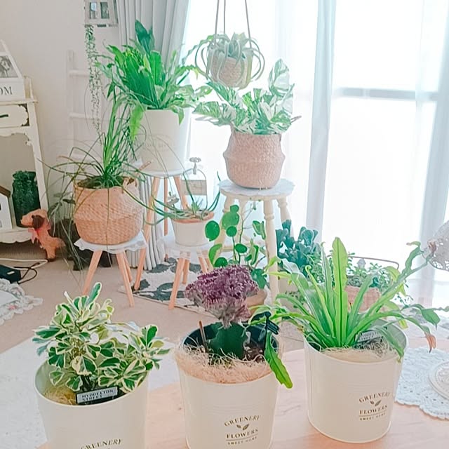 Hanakaさんの部屋