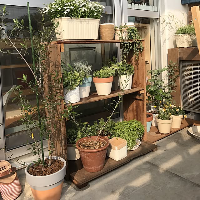 yuccoさんの実例写真