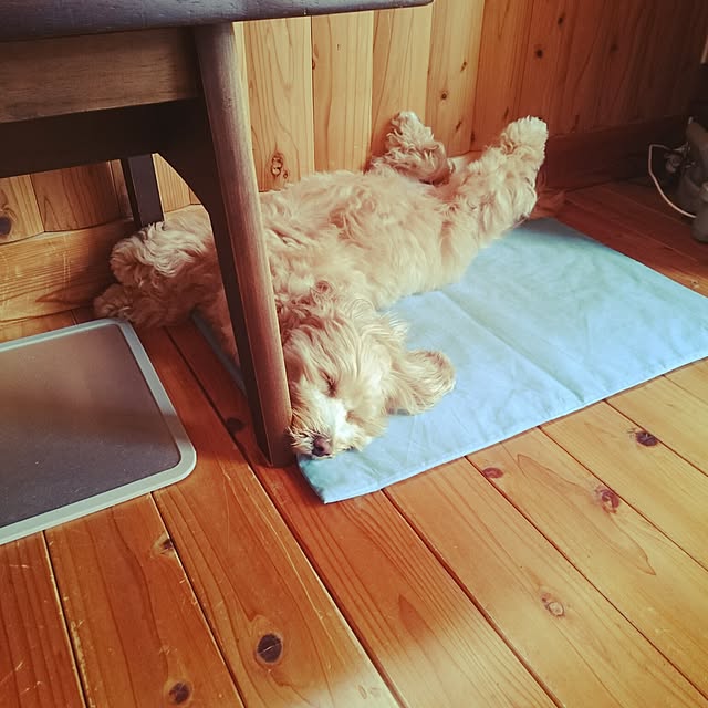 makaronさんの実例写真