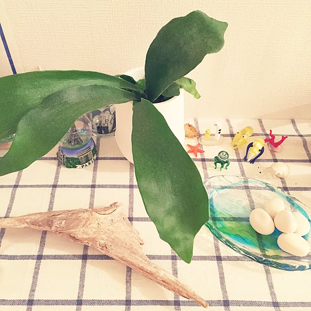 Takashiさんの実例写真