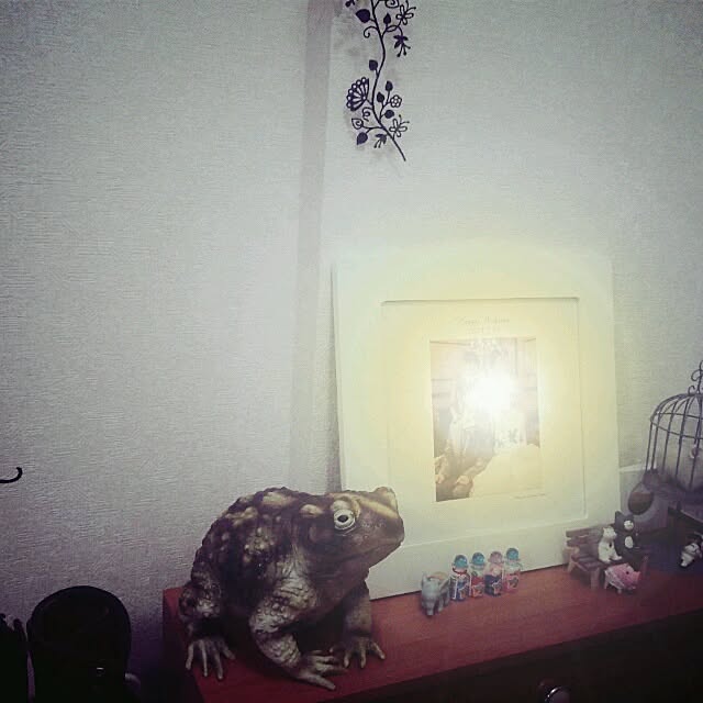 kaerusienneさんの実例写真