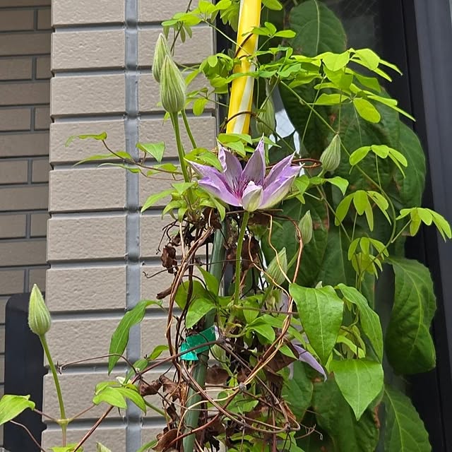 mitsuyama3136さんの部屋