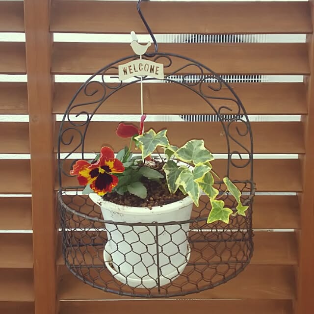 oliveさんの実例写真