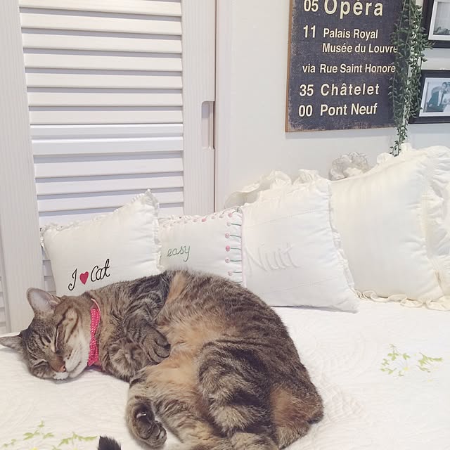 lovecatさんの実例写真