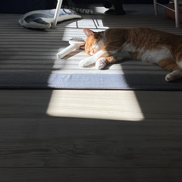 myuuさんの実例写真