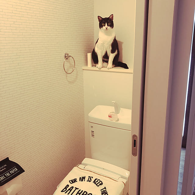 Evenさんの実例写真