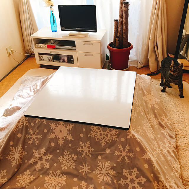 部屋全体/こたつカバー/こたつ/3DK/フェイクフラワー...などのインテリア実例 - 2017-10-31 20:43:11