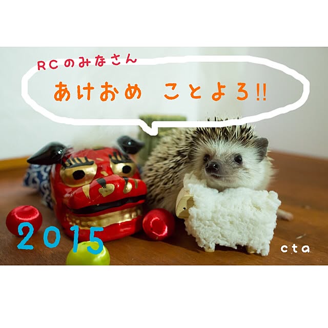 ctaさんの実例写真