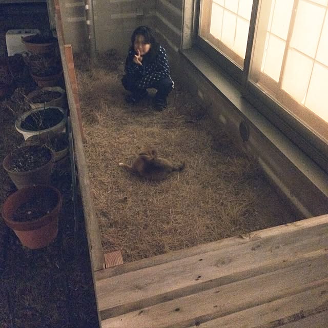 fiveさんの実例写真
