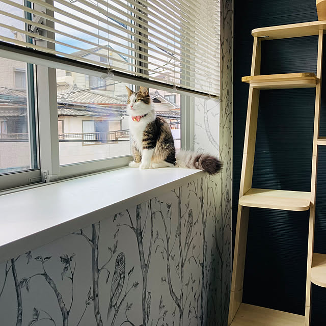 sakura_171220さんの実例写真